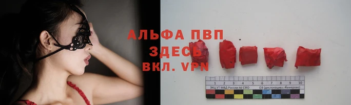 ГАЛЛЮЦИНОГЕННЫЕ ГРИБЫ Приозерск