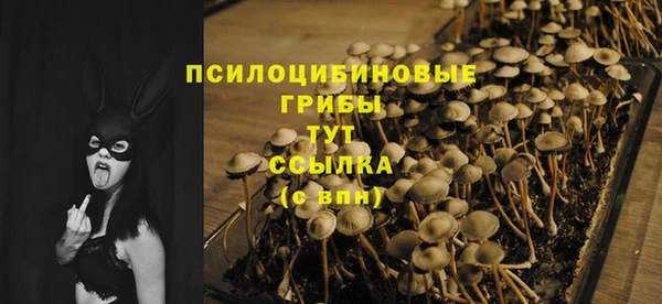 сатива Протвино