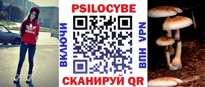 Псилоцибиновые грибы Cubensis  Оренбург 